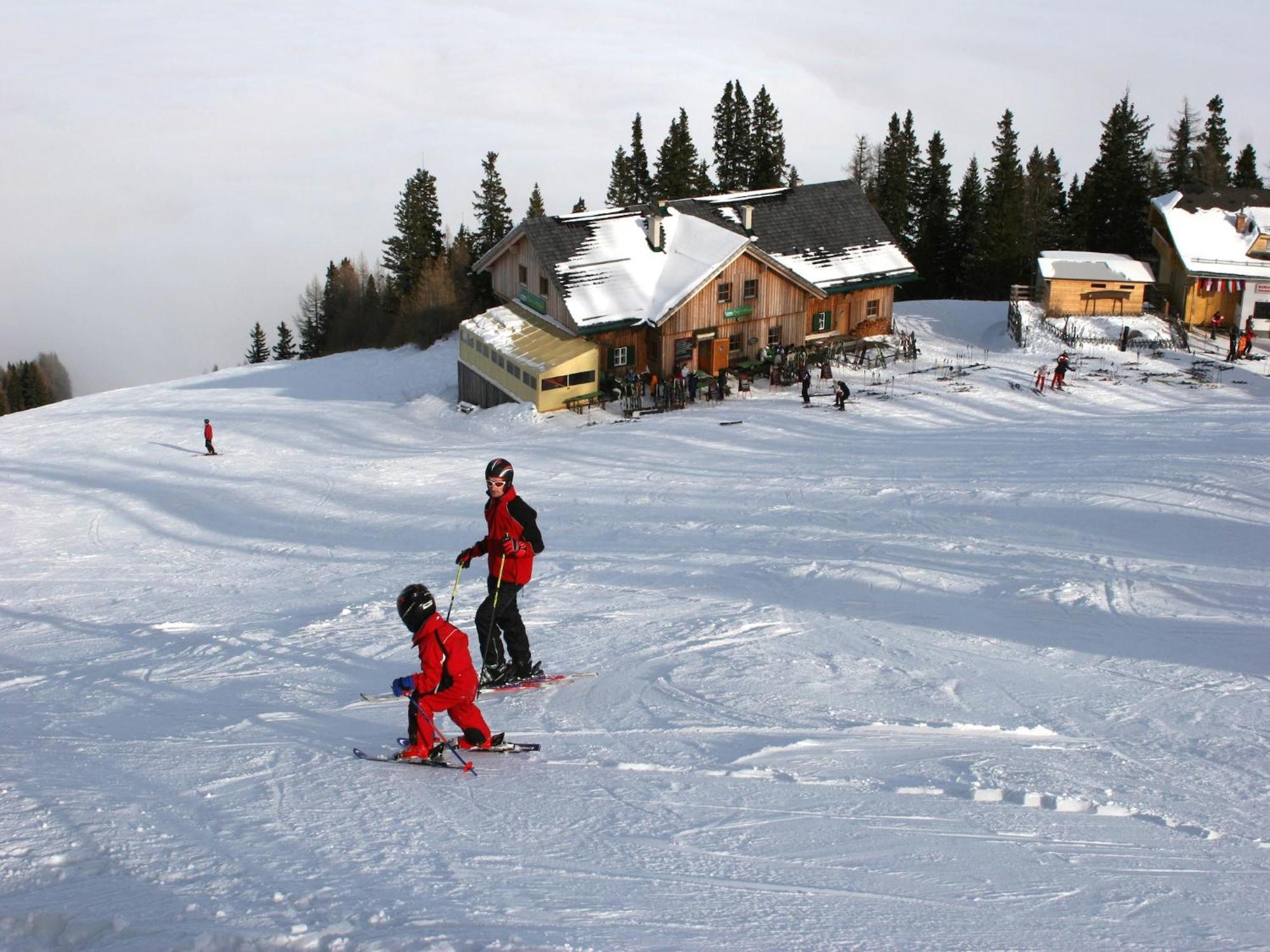 Modern Apartment With Garden Near The Petzen Ski Area In Eberndorf Carinthia Buitenkant foto